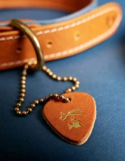 DENHAM DOG LEASH COLLAR Leather -Fusion Verkoop 01 23 12 99 003 row2 2